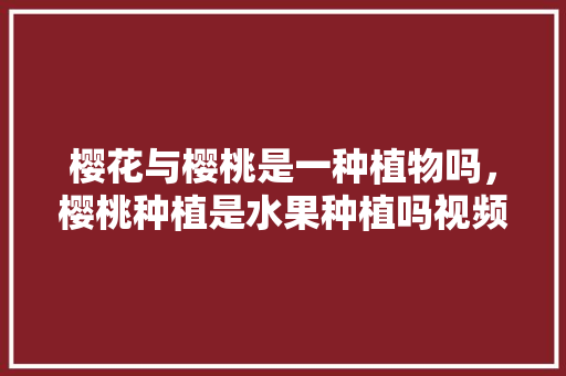 樱花与樱桃是一种植物吗，樱桃种植是水果种植吗视频。 樱花与樱桃是一种植物吗，樱桃种植是水果种植吗视频。 家禽养殖