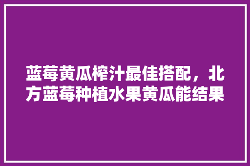 蓝莓黄瓜榨汁最佳搭配，北方蓝莓种植水果黄瓜能结果吗。 蓝莓黄瓜榨汁最佳搭配，北方蓝莓种植水果黄瓜能结果吗。 家禽养殖