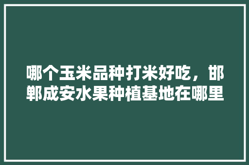 哪个玉米品种打米好吃，邯郸成安水果种植基地在哪里。 哪个玉米品种打米好吃，邯郸成安水果种植基地在哪里。 水果种植