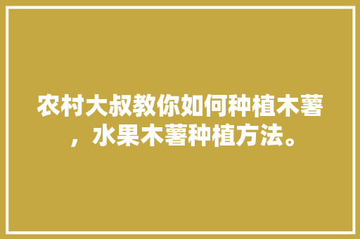 农村大叔教你如何种植木薯，水果木薯种植方法。 农村大叔教你如何种植木薯，水果木薯种植方法。 土壤施肥