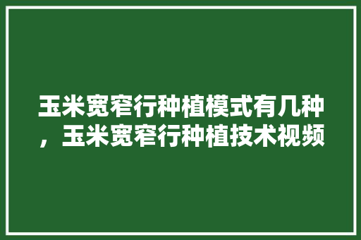 玉米宽窄行种植模式有几种，玉米宽窄行种植技术视频。 玉米宽窄行种植模式有几种，玉米宽窄行种植技术视频。 畜牧养殖