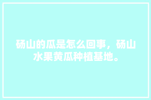 砀山的瓜是怎么回事，砀山水果黄瓜种植基地。 砀山的瓜是怎么回事，砀山水果黄瓜种植基地。 水果种植