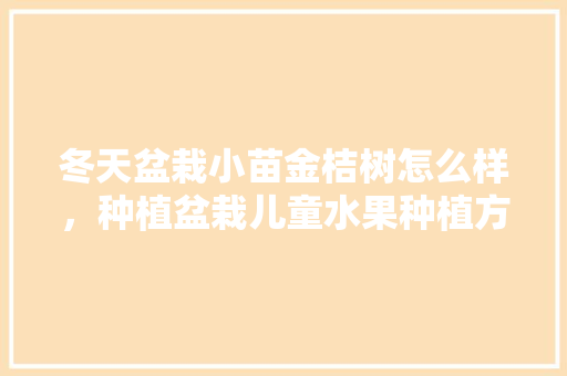 冬天盆栽小苗金桔树怎么样，种植盆栽儿童水果种植方法。 冬天盆栽小苗金桔树怎么样，种植盆栽儿童水果种植方法。 水果种植