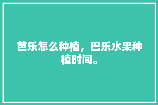 芭乐怎么种植，巴乐水果种植时间。 芭乐怎么种植，巴乐水果种植时间。 水果种植