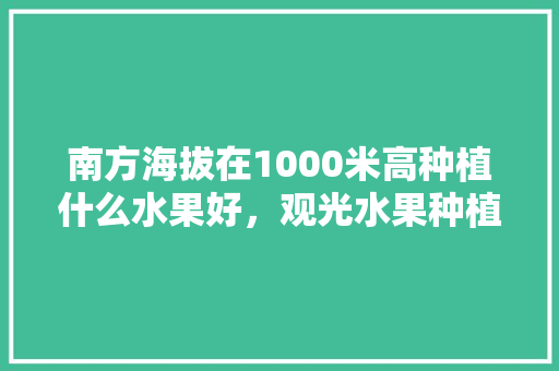 南方海拔在1000米高种植什么水果好，观光水果种植基地。 南方海拔在1000米高种植什么水果好，观光水果种植基地。 家禽养殖