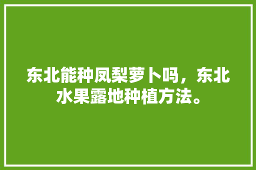 东北能种凤梨萝卜吗，东北水果露地种植方法。 东北能种凤梨萝卜吗，东北水果露地种植方法。 蔬菜种植