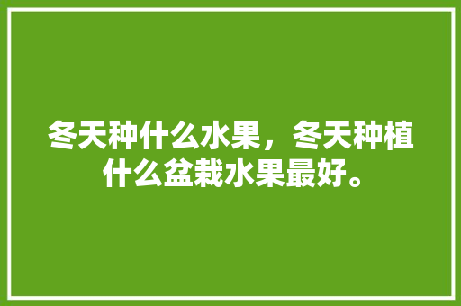 冬天种什么水果，冬天种植什么盆栽水果最好。 冬天种什么水果，冬天种植什么盆栽水果最好。 水果种植