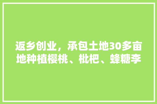 返乡创业，承包土地30多亩地种植樱桃、枇杷、蜂糖李、桃子、八月瓜、无花果，有前途吗，地理水果种植小技巧有哪些。 返乡创业，承包土地30多亩地种植樱桃、枇杷、蜂糖李、桃子、八月瓜、无花果，有前途吗，地理水果种植小技巧有哪些。 土壤施肥