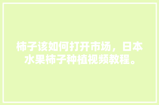 柿子该如何打开市场，日本水果柿子种植视频教程。 柿子该如何打开市场，日本水果柿子种植视频教程。 土壤施肥