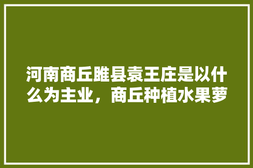 河南商丘雎县袁王庄是以什么为主业，商丘种植水果萝卜基地。 河南商丘雎县袁王庄是以什么为主业，商丘种植水果萝卜基地。 土壤施肥