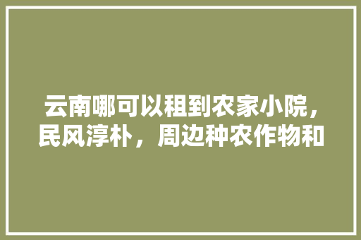 云南哪可以租到农家小院，民风淳朴，周边种农作物和水果多的地方，租地种水果。 云南哪可以租到农家小院，民风淳朴，周边种农作物和水果多的地方，租地种水果。 家禽养殖