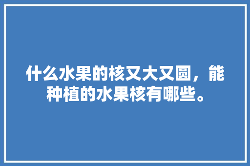 什么水果的核又大又圆，能种植的水果核有哪些。 什么水果的核又大又圆，能种植的水果核有哪些。 畜牧养殖