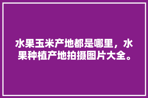 水果玉米产地都是哪里，水果种植产地拍摄图片大全。 水果玉米产地都是哪里，水果种植产地拍摄图片大全。 蔬菜种植