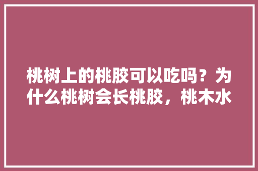 桃树上的桃胶可以吃吗？为什么桃树会长桃胶，桃木水果种植方法。 桃树上的桃胶可以吃吗？为什么桃树会长桃胶，桃木水果种植方法。 家禽养殖