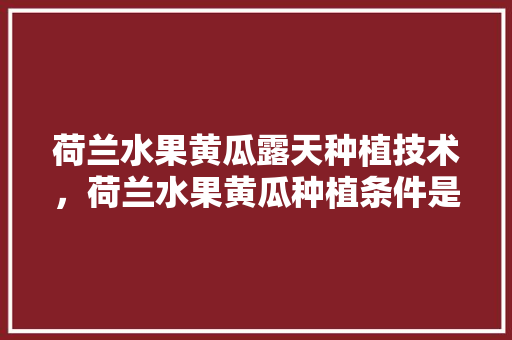 荷兰水果黄瓜露天种植技术，荷兰水果黄瓜种植条件是什么。 荷兰水果黄瓜露天种植技术，荷兰水果黄瓜种植条件是什么。 蔬菜种植