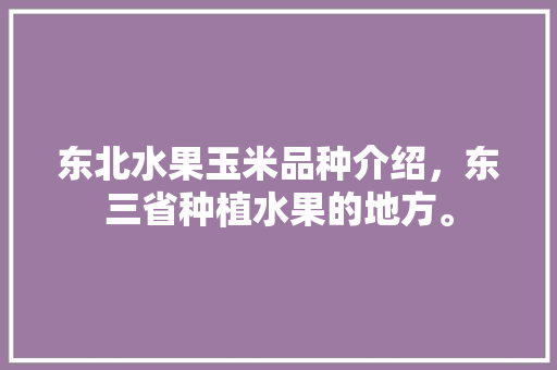 东北水果玉米品种介绍，东三省种植水果的地方。 东北水果玉米品种介绍，东三省种植水果的地方。 蔬菜种植