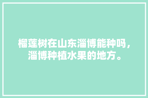 榴莲树在山东淄博能种吗，淄博种植水果的地方。 榴莲树在山东淄博能种吗，淄博种植水果的地方。 水果种植