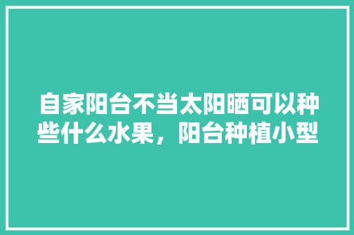 自家阳台不当太阳晒可以种些什么水果，阳台种植小型水果盆景。 自家阳台不当太阳晒可以种些什么水果，阳台种植小型水果盆景。 蔬菜种植