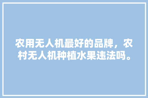 农用无人机最好的品牌，农村无人机种植水果违法吗。 农用无人机最好的品牌，农村无人机种植水果违法吗。 蔬菜种植