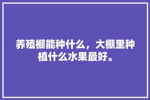 养殖棚能种什么，大棚里种植什么水果最好。 养殖棚能种什么，大棚里种植什么水果最好。 土壤施肥