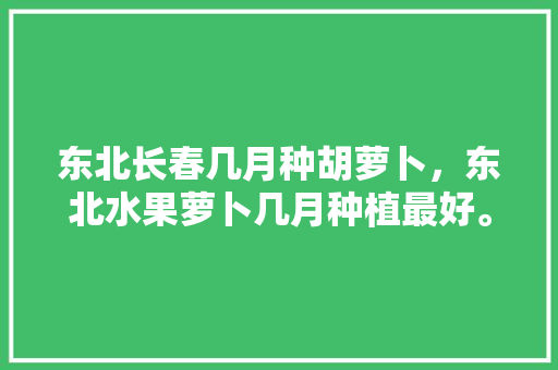 东北长春几月种胡萝卜，东北水果萝卜几月种植最好。 东北长春几月种胡萝卜，东北水果萝卜几月种植最好。 蔬菜种植