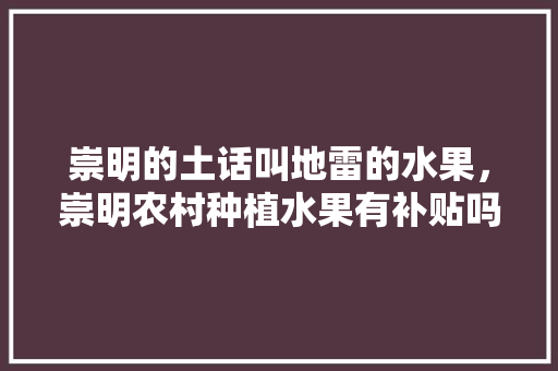 崇明的土话叫地雷的水果，崇明农村种植水果有补贴吗。 崇明的土话叫地雷的水果，崇明农村种植水果有补贴吗。 土壤施肥