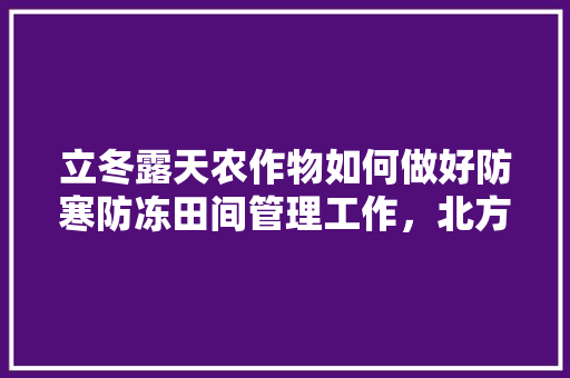 立冬露天农作物如何做好防寒防冻田间管理工作，北方温棚种植南方水果可以吗。 立冬露天农作物如何做好防寒防冻田间管理工作，北方温棚种植南方水果可以吗。 蔬菜种植