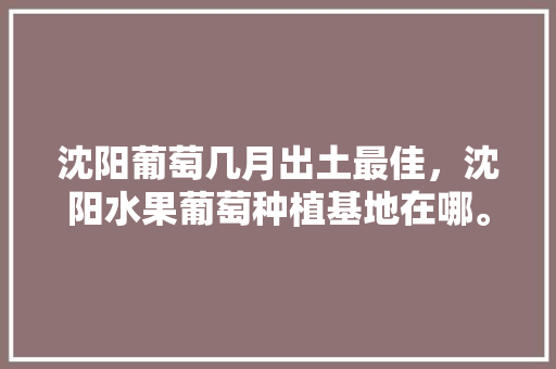 沈阳葡萄几月出土最佳，沈阳水果葡萄种植基地在哪。 沈阳葡萄几月出土最佳，沈阳水果葡萄种植基地在哪。 蔬菜种植