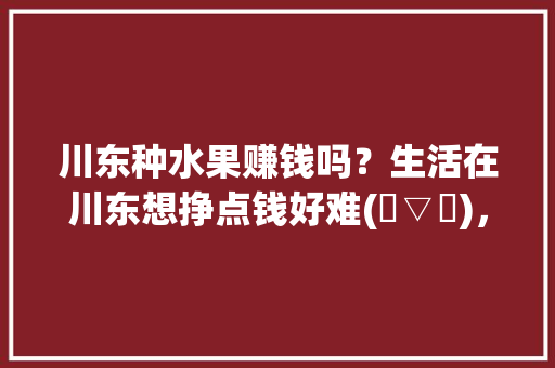 川东种水果赚钱吗？生活在川东想挣点钱好难(✪▽✪)，广安市种植水果基地。 川东种水果赚钱吗？生活在川东想挣点钱好难(✪▽✪)，广安市种植水果基地。 土壤施肥