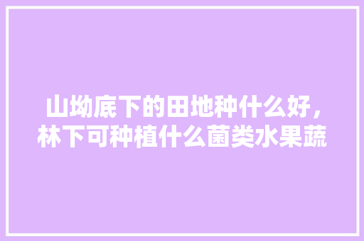 山坳底下的田地种什么好，林下可种植什么菌类水果蔬菜。 山坳底下的田地种什么好，林下可种植什么菌类水果蔬菜。 家禽养殖