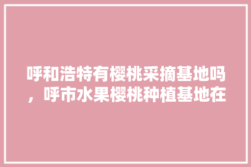 呼和浩特有樱桃采摘基地吗，呼市水果樱桃种植基地在哪里。 呼和浩特有樱桃采摘基地吗，呼市水果樱桃种植基地在哪里。 土壤施肥