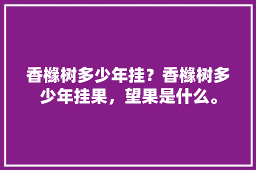 香橼树多少年挂？香橼树多少年挂果，望果是什么。 香橼树多少年挂？香橼树多少年挂果，望果是什么。 蔬菜种植