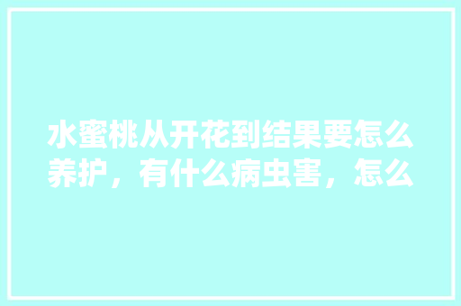 水蜜桃从开花到结果要怎么养护，有什么病虫害，怎么防治，水果种植桃子怎么种植的视频。 水蜜桃从开花到结果要怎么养护，有什么病虫害，怎么防治，水果种植桃子怎么种植的视频。 土壤施肥