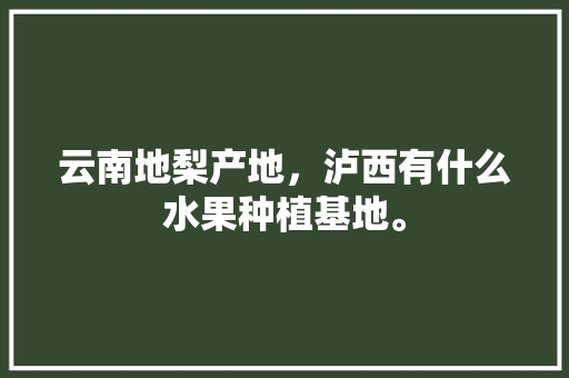 云南地梨产地，泸西有什么水果种植基地。 云南地梨产地，泸西有什么水果种植基地。 水果种植