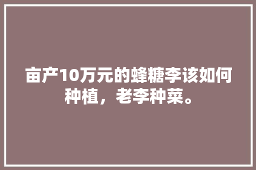 亩产10万元的蜂糖李该如何种植，老李种菜。 亩产10万元的蜂糖李该如何种植，老李种菜。 蔬菜种植