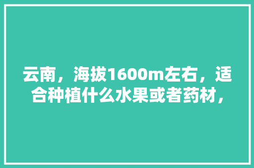 云南，海拔1600m左右，适合种植什么水果或者药材，红河金平县水果种植基地。 云南，海拔1600m左右，适合种植什么水果或者药材，红河金平县水果种植基地。 水果种植