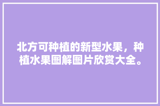 北方可种植的新型水果，种植水果图解图片欣赏大全。 北方可种植的新型水果，种植水果图解图片欣赏大全。 水果种植