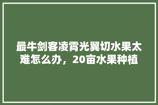 最牛剑客凌霄光翼切水果太难怎么办，20亩水果种植视频大全。 最牛剑客凌霄光翼切水果太难怎么办，20亩水果种植视频大全。 水果种植