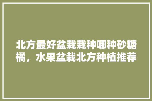 北方最好盆栽栽种哪种砂糖橘，水果盆栽北方种植推荐品种。 北方最好盆栽栽种哪种砂糖橘，水果盆栽北方种植推荐品种。 水果种植