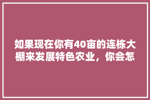 如果现在你有40亩的连栋大棚来发展特色农业，你会怎么做，台州水果橙子种植基地在哪里。 如果现在你有40亩的连栋大棚来发展特色农业，你会怎么做，台州水果橙子种植基地在哪里。 蔬菜种植