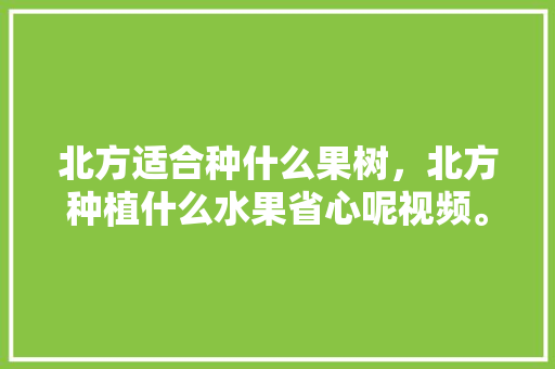 北方适合种什么果树，北方种植什么水果省心呢视频。 北方适合种什么果树，北方种植什么水果省心呢视频。 畜牧养殖