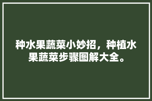 种水果蔬菜小妙招，种植水果蔬菜步骤图解大全。 种水果蔬菜小妙招，种植水果蔬菜步骤图解大全。 水果种植