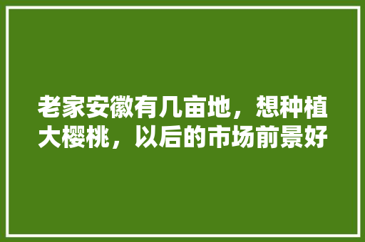 老家安徽有几亩地，想种植大樱桃，以后的市场前景好不好，安徽水果种植户有多少。 老家安徽有几亩地，想种植大樱桃，以后的市场前景好不好，安徽水果种植户有多少。 家禽养殖