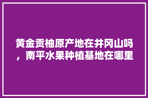 黄金贡柚原产地在井冈山吗，南平水果种植基地在哪里。 黄金贡柚原产地在井冈山吗，南平水果种植基地在哪里。 土壤施肥