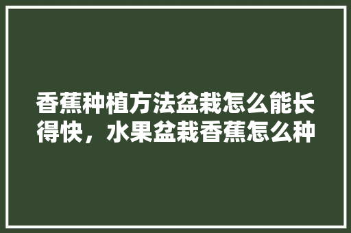 香蕉种植方法盆栽怎么能长得快，水果盆栽香蕉怎么种植视频。 香蕉种植方法盆栽怎么能长得快，水果盆栽香蕉怎么种植视频。 畜牧养殖