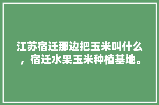 江苏宿迁那边把玉米叫什么，宿迁水果玉米种植基地。 江苏宿迁那边把玉米叫什么，宿迁水果玉米种植基地。 土壤施肥