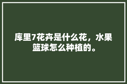 库里7花卉是什么花，水果篮球怎么种植的。 库里7花卉是什么花，水果篮球怎么种植的。 土壤施肥