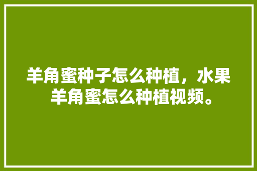 羊角蜜种子怎么种植，水果 羊角蜜怎么种植视频。 羊角蜜种子怎么种植，水果 羊角蜜怎么种植视频。 土壤施肥