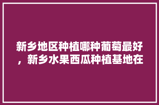 新乡地区种植哪种葡萄最好，新乡水果西瓜种植基地在哪里。 新乡地区种植哪种葡萄最好，新乡水果西瓜种植基地在哪里。 畜牧养殖