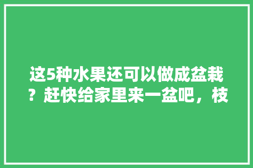 这5种水果还可以做成盆栽？赶快给家里来一盆吧，枝干种植水果图片大全。 这5种水果还可以做成盆栽？赶快给家里来一盆吧，枝干种植水果图片大全。 畜牧养殖